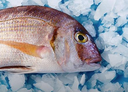 การแปรรูปและถนอมอาหารทะเล