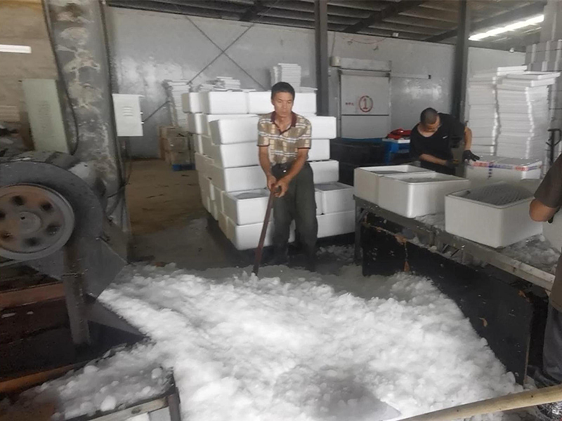 เพิ่มประสิทธิภาพสูงสุดและรักษาความสดด้วยพลังของเครื่องทำน้ำแข็งบล็อกและเครื่องบดในสัตว์น้ำ