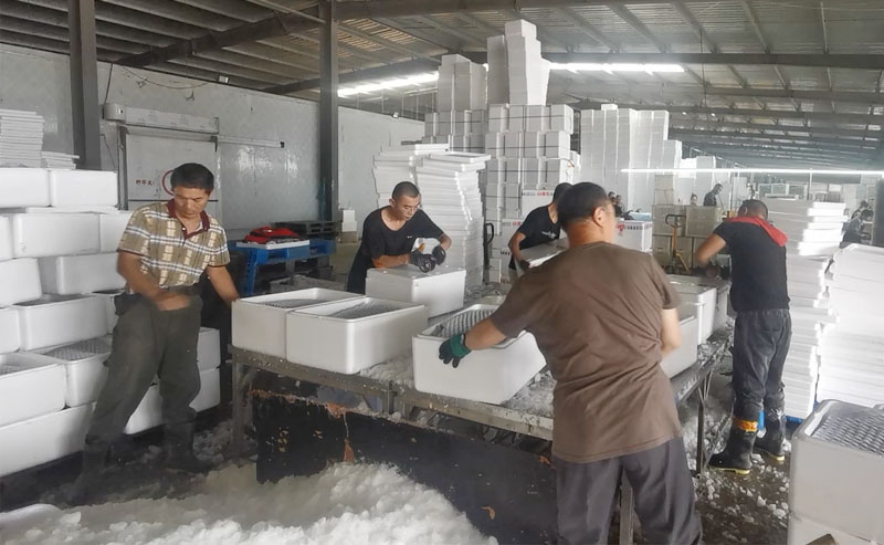 block ice crushing and packing for vegetables