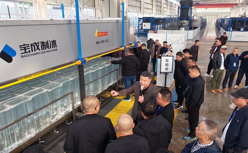 7 ton transparent block ice making machine